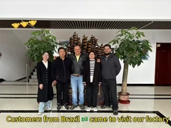 Línea automática de producción de alimentos para mascotas y gatos, el cliente de Brasil