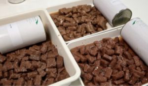 Línea profesional de procesamiento de alimentos para mascotas / maquinaria para alimentos para animales