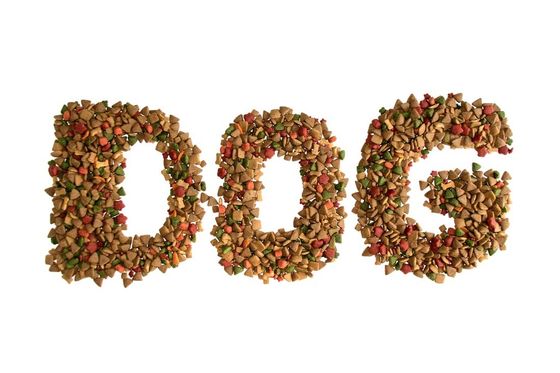 Siemens Motor Una variedad de líneas de producción de alimentos para mascotas con múltiples rendimientos y modelos