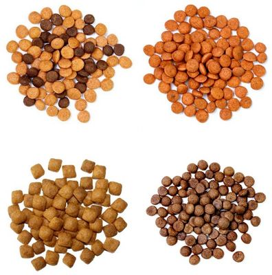 Extrusora automática de forma seca para perros con línea de fabricación de comida para perros