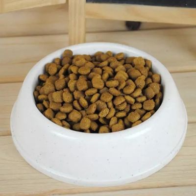 Máquina de pellets para alimentos para perros de 100 kg/h
