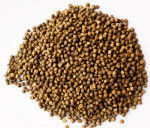 Línea de producción completa de alimento para peces de acero inoxidable 200-300 Kg/h