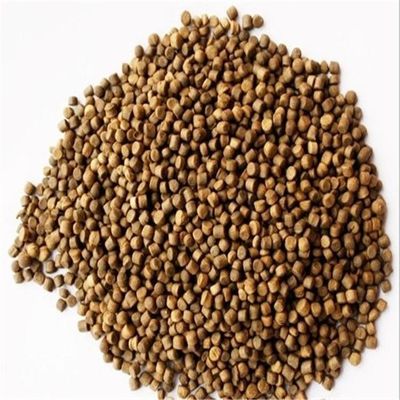 Maquinaria de procesamiento automático de pellets flotantes para piensos para peces