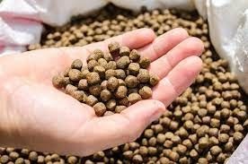 Maquinaria de procesamiento automático de pellets flotantes para piensos para peces