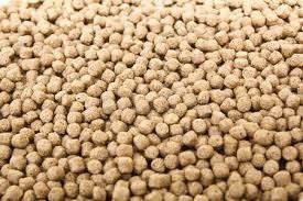Línea de producción de alimento para aves de corral de 1-2 toneladas/hora  Maquinaria para la producción de alimento para peces