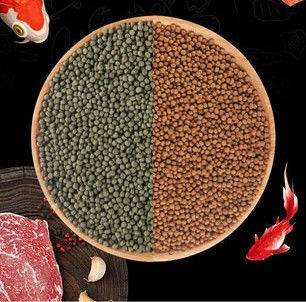 Maquinaria automática para procesar pellets de alimento para peces en la fábrica de Saibainuo